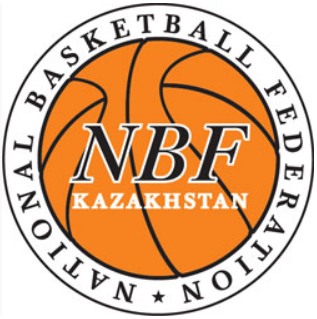 Kazakhstan 0-Pres Primary Logo iron on heat transfer